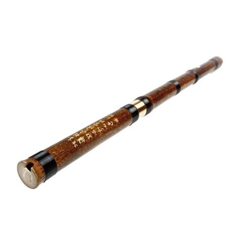 G Key Chinese Bamboo Flute Xiao Woodwind Vertical Traditional Musical