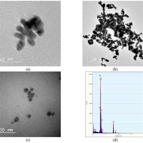 Tem Images Of Agnps Prepared In Distilled Water Without Stabilizer A