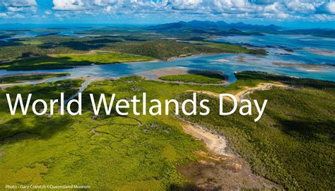 World Wetlands Day Fitzroy Basin Association