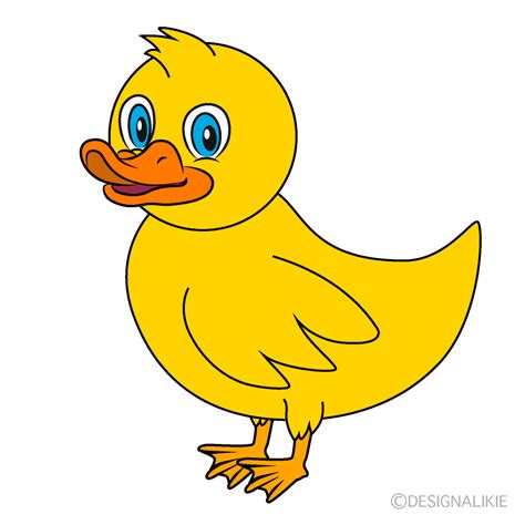 Standing Duck Clip Art Free Png Image｜illustoon