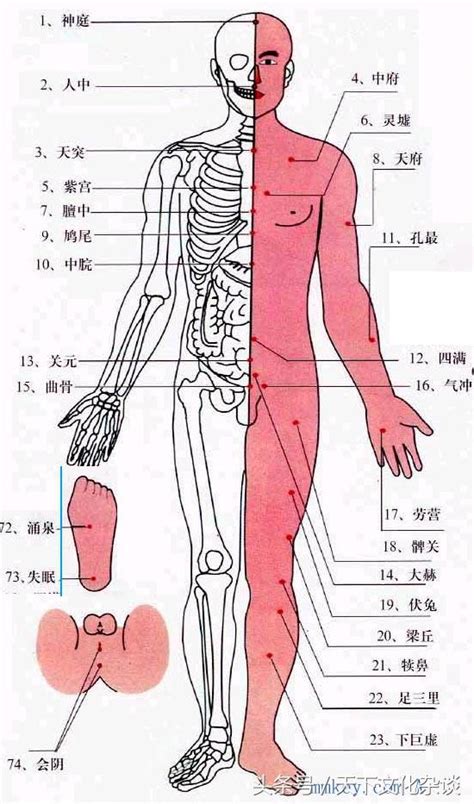 人體穴位全圖解析——超級實用！ 每日頭條