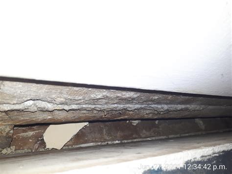 crown molding over interior door falling down : r/HomeImprovement