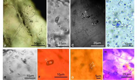 Photomicrographs Of Fluid Inclusions From The Allchar Au As Sb Tl