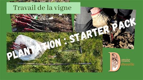 Tuto Comment Planter Une Greffe Comment Planter La Vigne