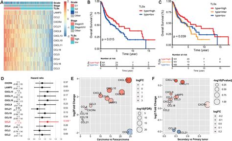 Establishment Of TLSs Signature In HNSCC Samples A Expression Profile