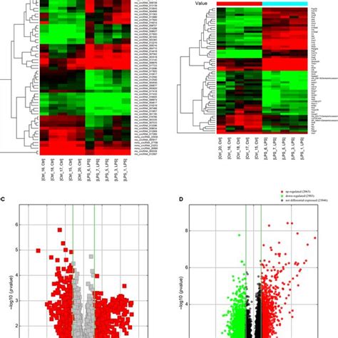 Changes In The Expression Profiles Of Circrnas And Mrnas Heat Maps