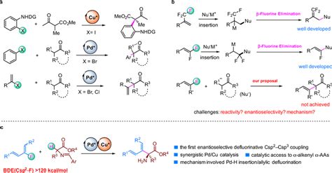 Transition Metal Catalyzed Asymmetric Csp Csp Cross Coupling