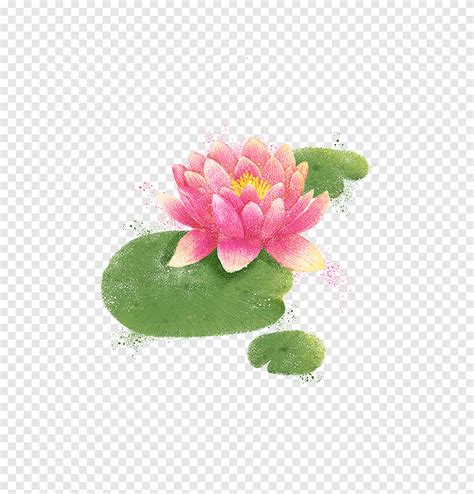 Watercolor Painting Illustration Lotus Painted Hand Png Pngegg