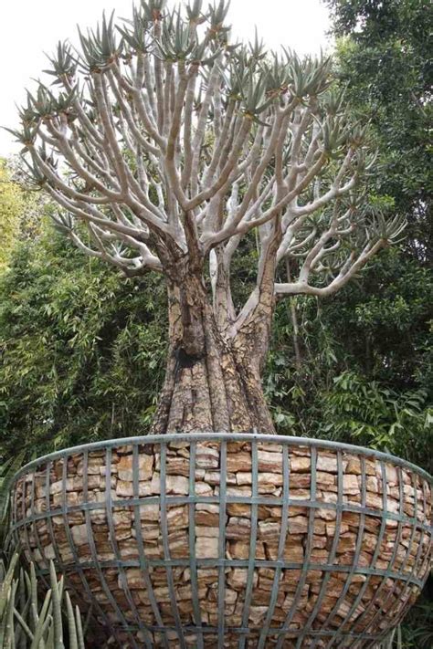 Cr Er Un Massif Jardin Sur Lev Et Rond En Gabion Id Es