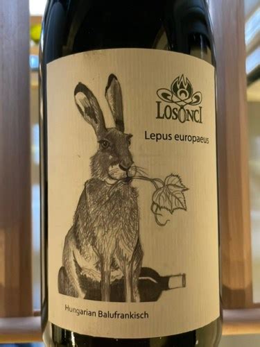 Losonci Lepus Europaeus Hungarian Balufrankisch Vivino US