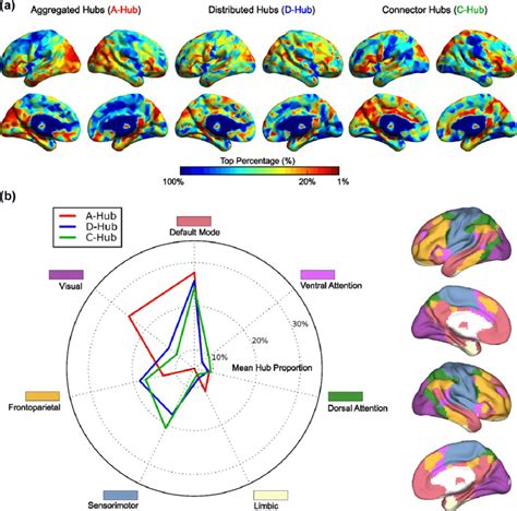 Fig Ure The Distributions Of Three Categories Of Hubs In Seven