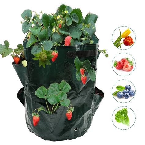 Jardinière Sac de plantation de fraises suspendu sacs de culture