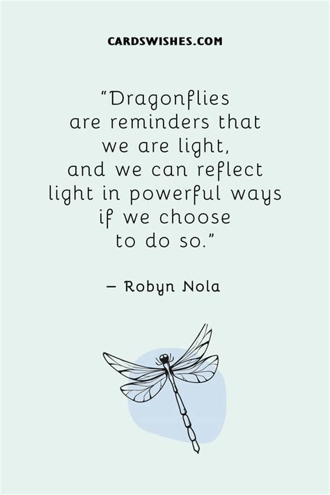 Top 20 Dragonfly Quotes And Captions To Inspire You