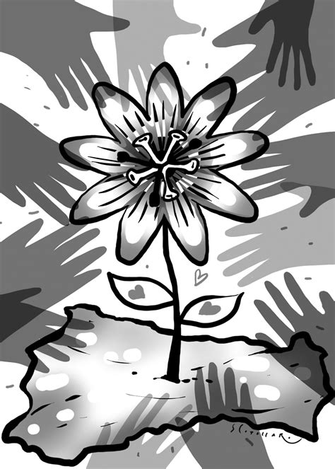 Paysandú y su futuro: una tarea entre todos – Diario El Telégrafo