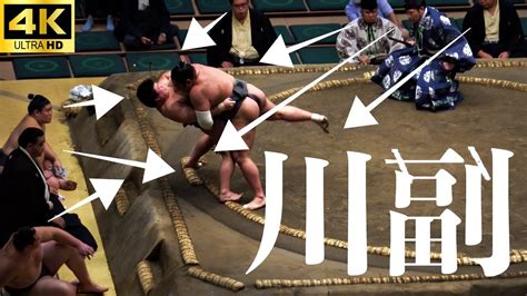 【大相撲 幕下】朝乃山で衝撃デビューした幕下の若手有望株、川副【sumo】 Youtube