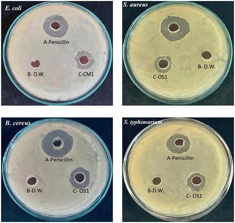 Frontiers Characterization And Selection Of Probiotic Lactic Acid