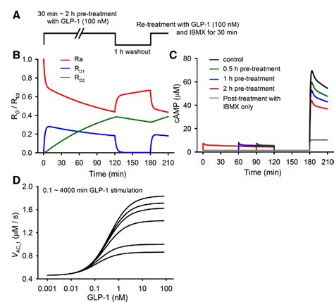 Figure 1 from Systems analysis of GLP-1 receptor signaling in ...