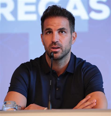 Cesc Fabregas Hair