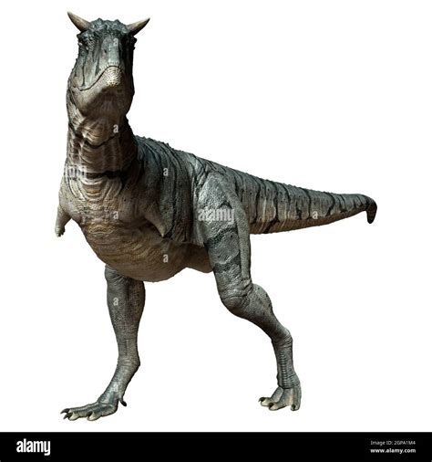 Carnotaurus Sastrei Fotograf As E Im Genes De Alta Resoluci N Alamy