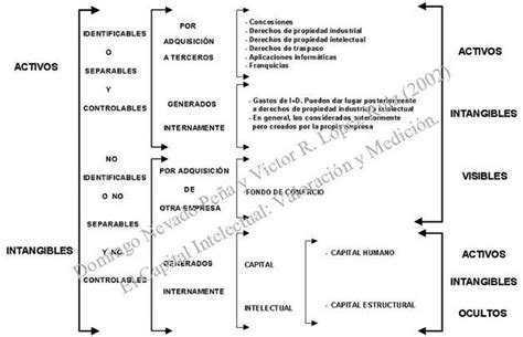 Clasificaci N De Activos Intangibles Fuente Nevado Y L Pez B