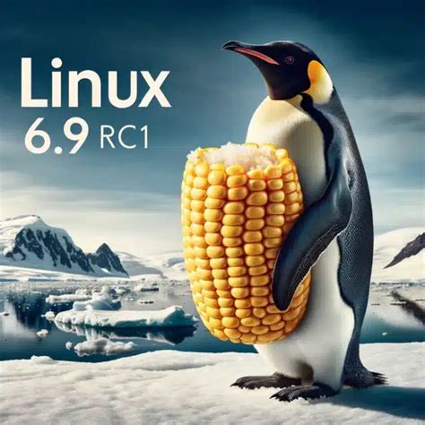 Linus Torvalds anuncia la primera versión candidata del kernel de Linux