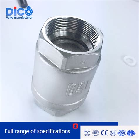 Industrial H12 200wog Stainless Steel Bsp Bspt Vertical With Symbol China Check Valve China