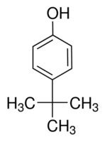 Tert Butylphenol B Kolab