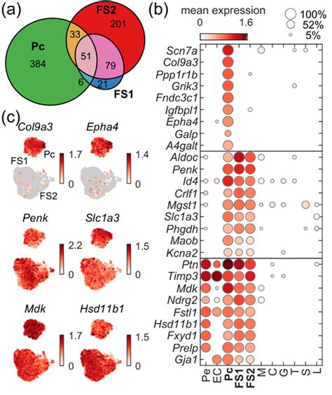 Comparison Of Fs And Pc Gene Expression Profiles A Euler Diagram