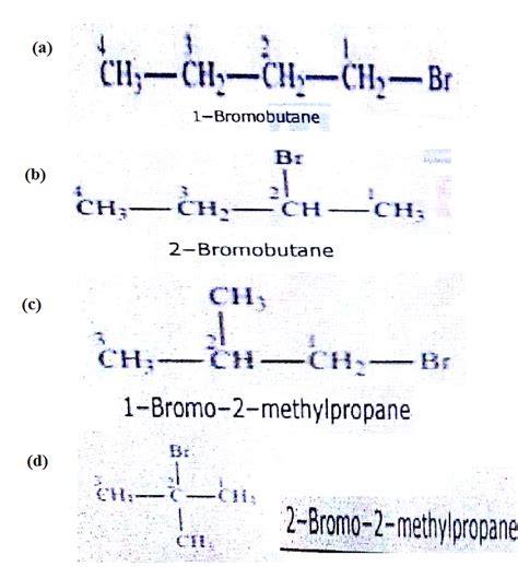 C4h9br Isomers