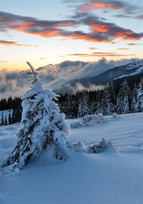 Paisagem Da Montanha Do Inverno Do Nascer Do Sol Carpathian Foto De