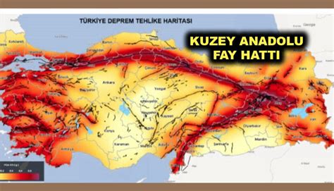 DEPREM RİSK HARİTASI Kuzey Anadolu fay hattı Doğu Anadolu fay hattı