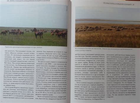 Книга: Жизнь лошадей в непридуманных историях и картинках - Спасская ...