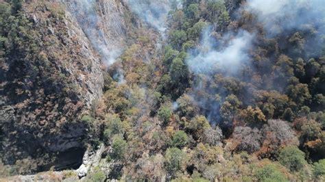 Combaten Nuevo Incendio En Sierra De Santiago ABC Noticias