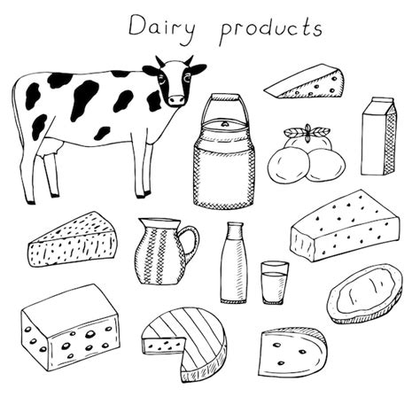 Premium Vector Set Of Dairy Products Vector Illustration Hand