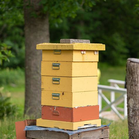 Honey Bee Hive Box