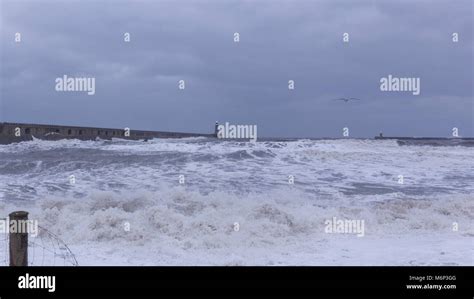 Mouth Of The River Tyne Stock Photo Alamy