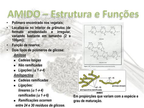 Caracterização bioquímica do amido PPT