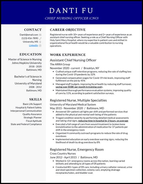 Professional Summary Resume Examples Deni Cindelyn