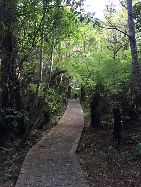 Butterfly Creek, Eastbourne, Wellington, New Zealand | Eastbourne, New ...