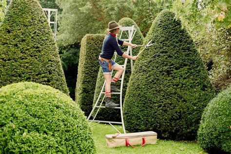 Find Out How Extension Ladders Works and Features