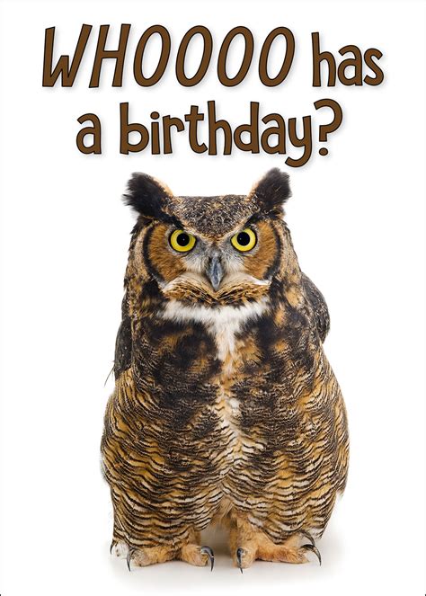 Owl Happy Birthday