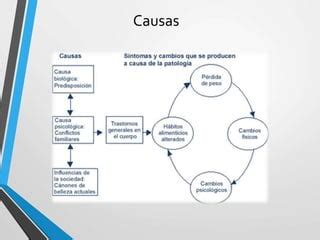 Anorexia Bulimia Obesidad Y Sedentarismo Ppt