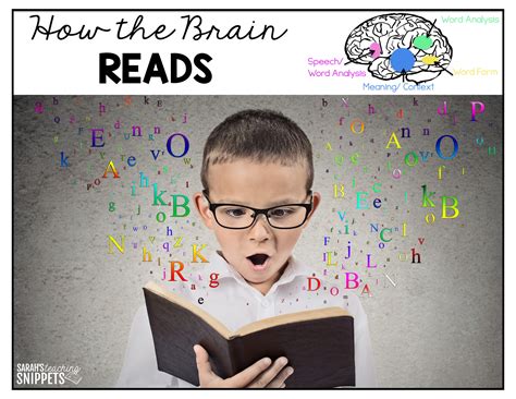 Reading and the Brain - Sarah's Teaching Snippets