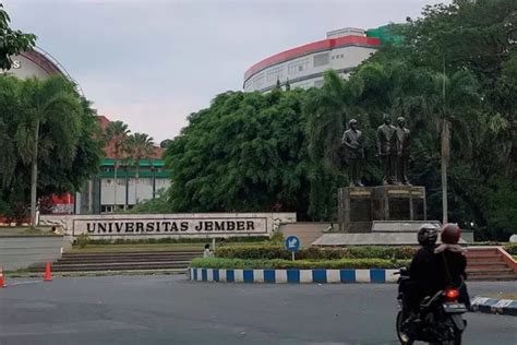 Cara Cek Pengumuman Hasil Seleksi Semmaba Unej Jalur Utbk 2023 Klik Link Ini Untuk Cek Daftar