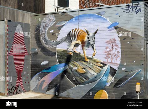 Street Art, Fitzroy, Melbourne, Victoria, Australia Stock Photo - Alamy