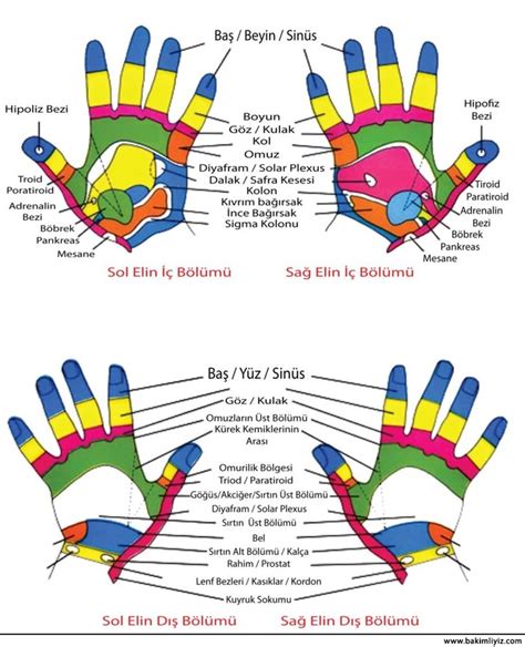 Akupunktur Noktalar Haritas Refleksoloji Akupunktur Masaj