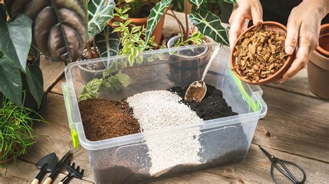 Types Of Substrates For Container Gardening