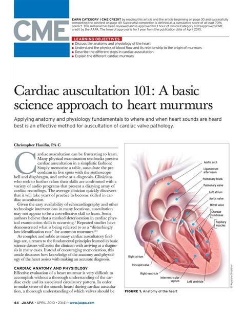 Cardiac auscultation 101: A basic science approach to heart ... - jaapa