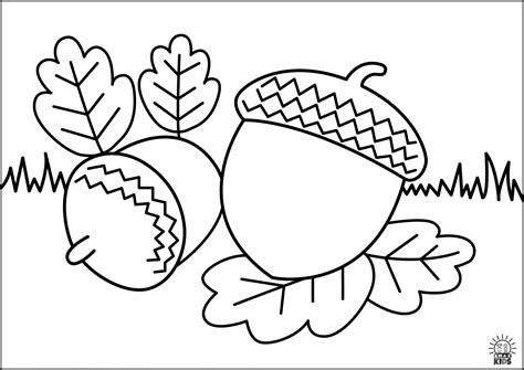 Printable Acorn Coloring Pages