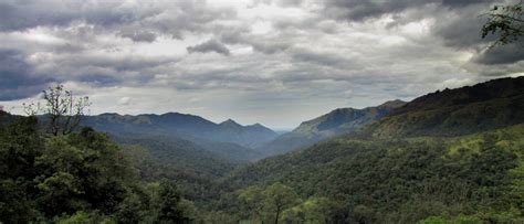 Escapades....: Sakleshpur - Green route trek along railway track